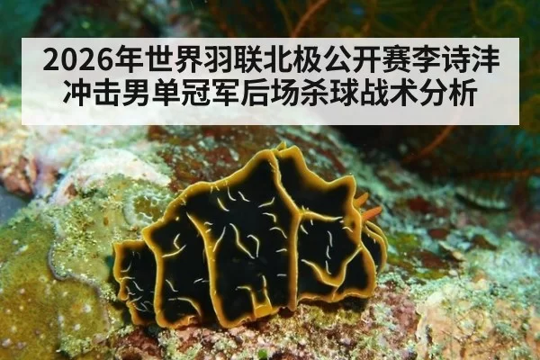 2026年世界羽联北极公开赛李诗沣冲击男单冠军后场杀球战术分析